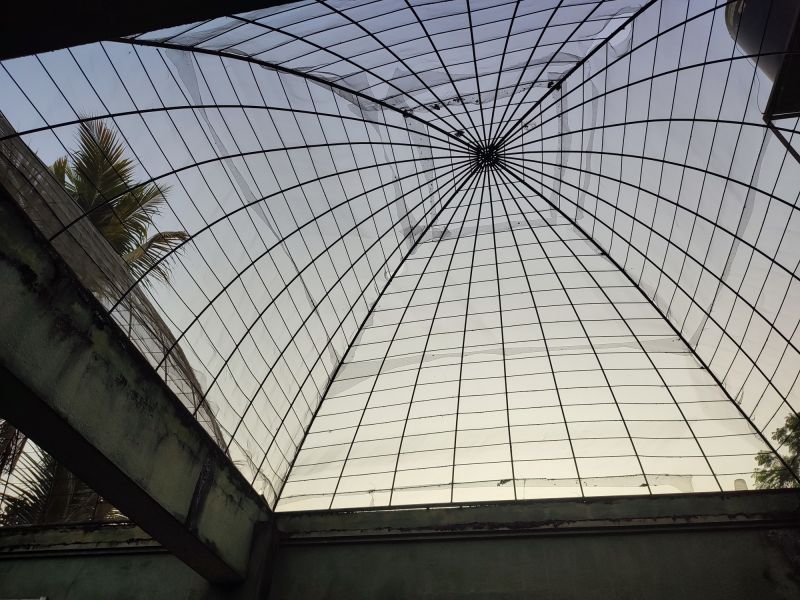 Material Picks that Last